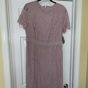 New York & Company - Eva Mendez Collection